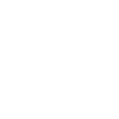 CN Logo 500x500